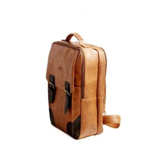 LQ-BL61 21 Balo BL61 bo dam2 compressed